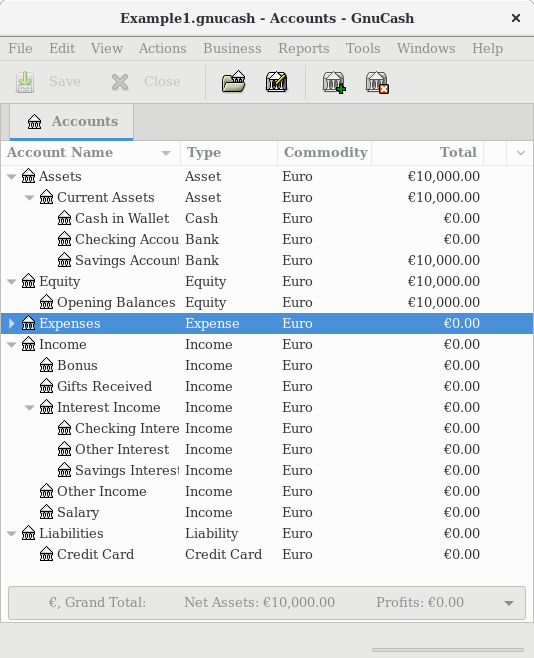 The Basic Chart of Accounts