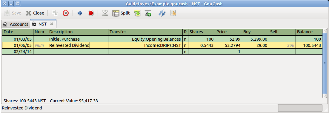 Example of dividend reinvestment transactions